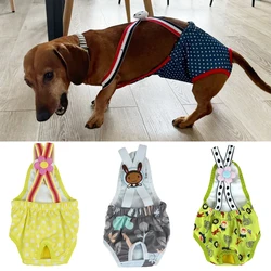 Calzoncillos absorbentes lavables para perros pequeños y medianos