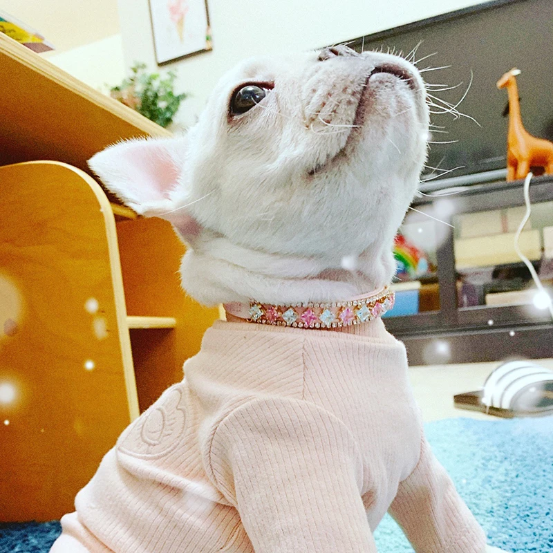 Collar de perlas de lujo para gatos y cachorros, Collar de diamantes de imitación para gatos, perros pequeños, Ragdoll, collares Sphynx, accesorios para mascotas, collier chat - imagen 3