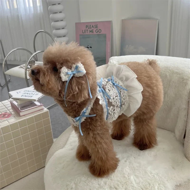 Vestido bordado de malla de verano de encaje azul para mascotas, correa trasera para perro pequeño, falda hueca cómoda y fresca, tocado, ropa para cachorros - imagen 3