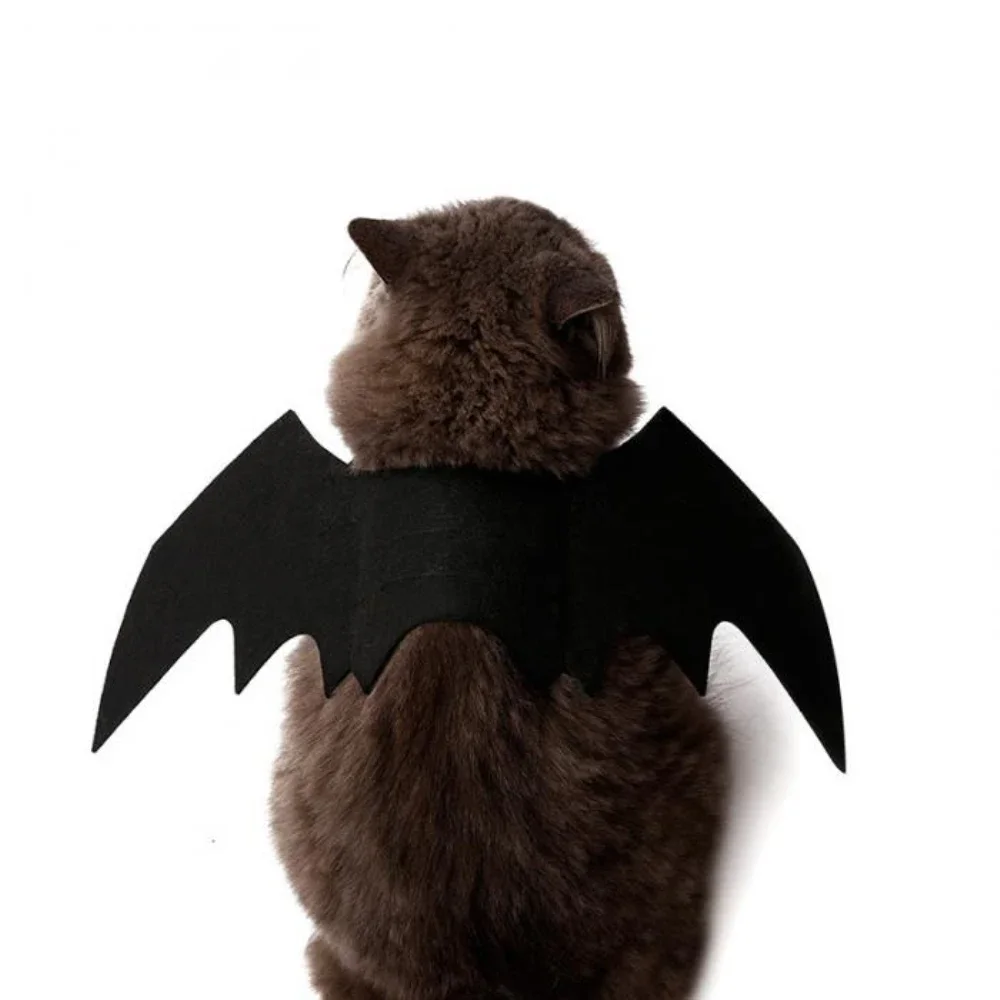 Disfraz de ala de murciélago para mascota, disfraz de alas para perro, gato y Halloween, accesorios para fotos, tocado - imagen 2