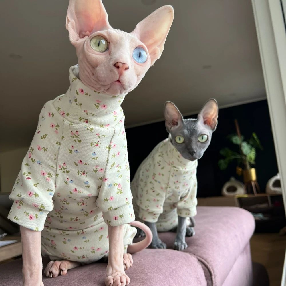 Chaqueta de algodón suave y cálida para gatos esfinges chaqueta femenina de primavera y otoño flor mono gatito sudadera dewenrex pijama - imagen 3