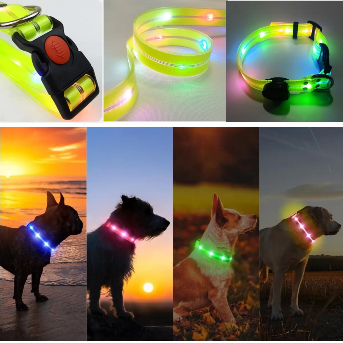 Collar Led brillante ajustable para perro, Accesorio luminoso de PVC, impermeable, antisuciedad, fácil de limpiar, para perros grandes y pequeños, cachorro y gato, novedad - imagen 5