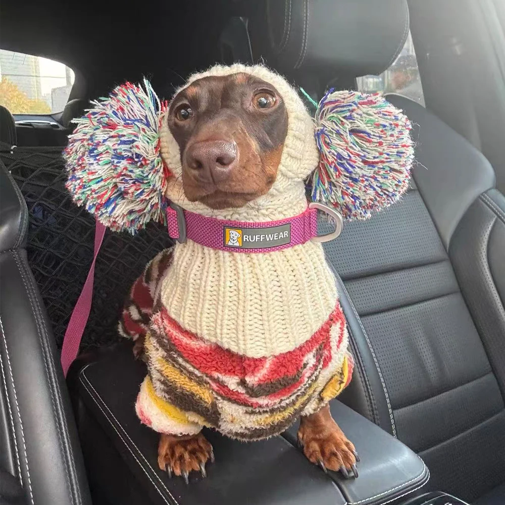 Suéter de cachemira con gorro para Dachshund – Jersey térmico para perro salchicha