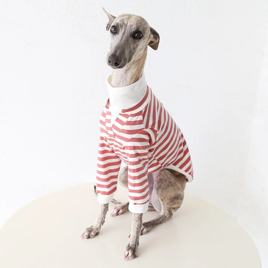 Sudadera doble cuello para Galgo Italiano y Whippet de rayas - imagen 3