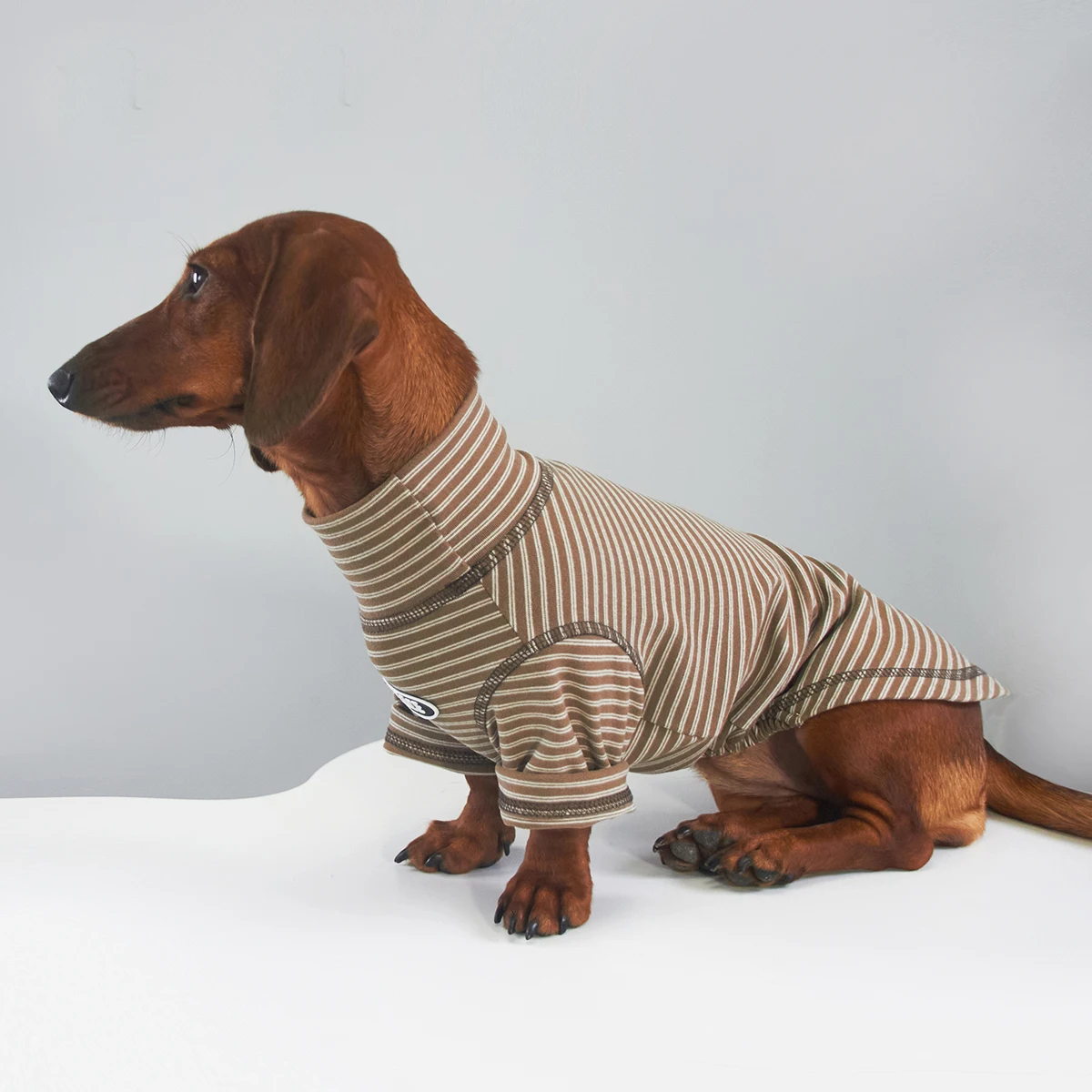 Pijama rayado de cuello alto para perro salchicha – Ropa térmica pequeña - imagen 2