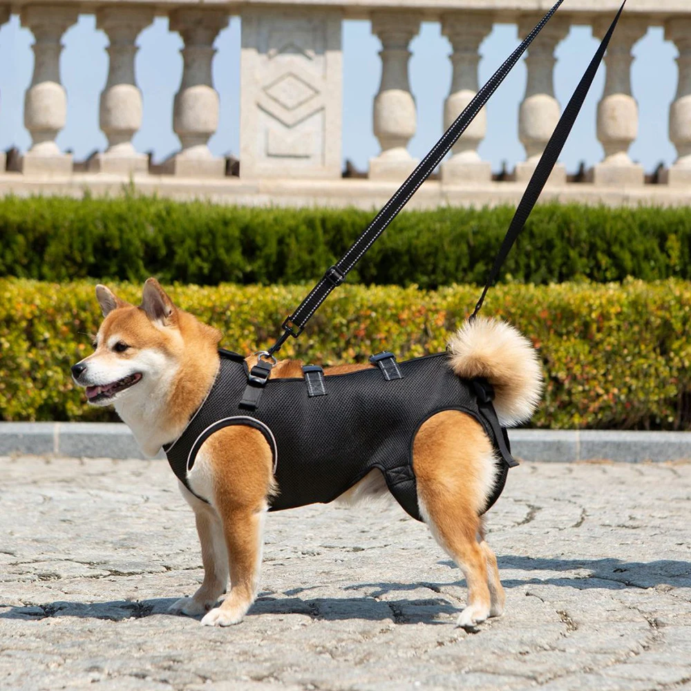 Arnés reflectante, transpirable, multifuncional, asistido para mascotas, correa para perros pequeños a medianos, accesorios de rehabilitación para perros - imagen 4