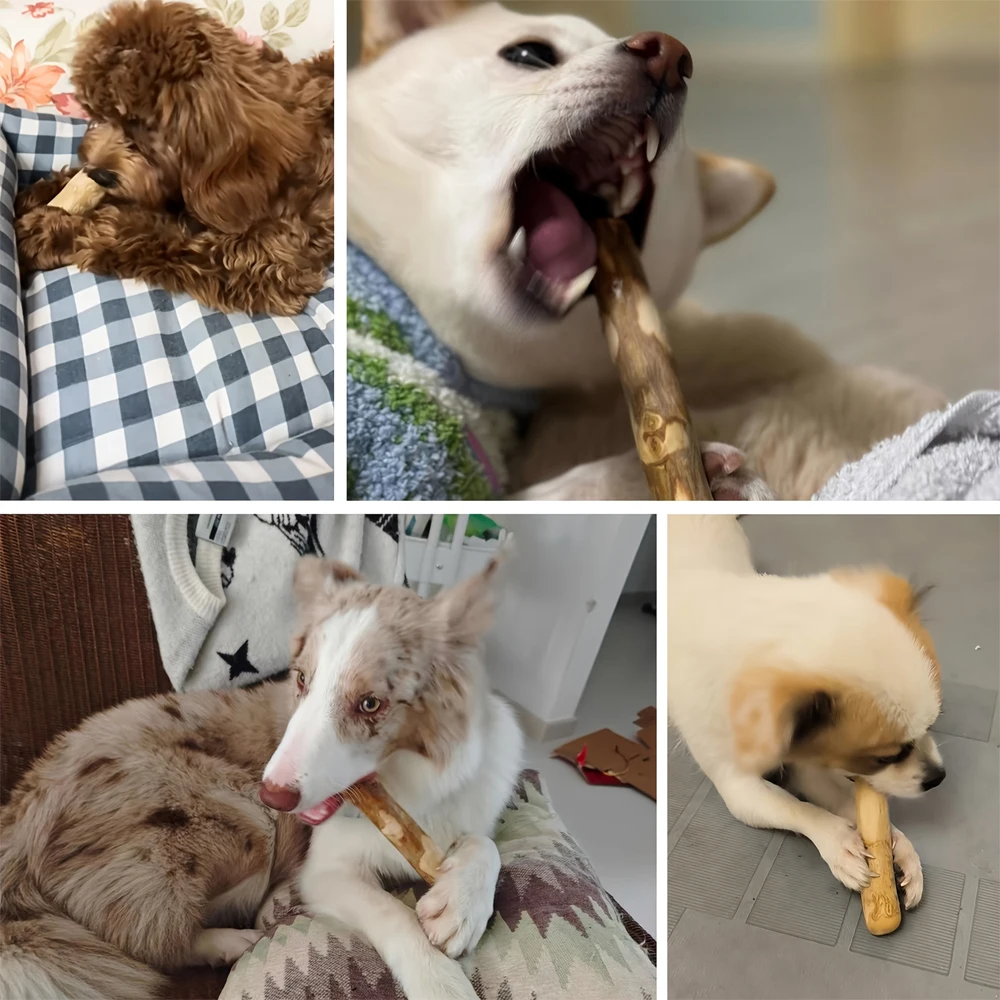 Juguete masticable de madera de café para perros – Limpieza dental y dentición - imagen 5