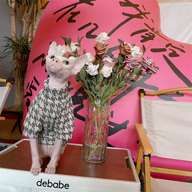 Ropa para gatos Espesar Sudadera suave y cálida para gatos machos Perros Devon Rex Elegante abrigo de algodón en otoño Sphynix Mono en primavera - imagen 2