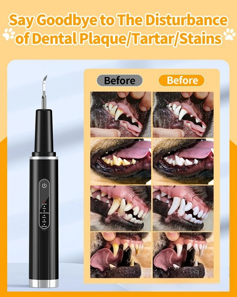 Demostración de uso del limpiador ultrasónico en dientes de perro