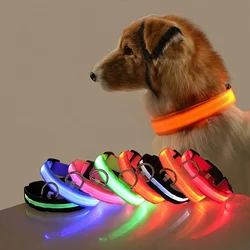 Correa LED reflectante para perro – Seguridad nocturna para paseos