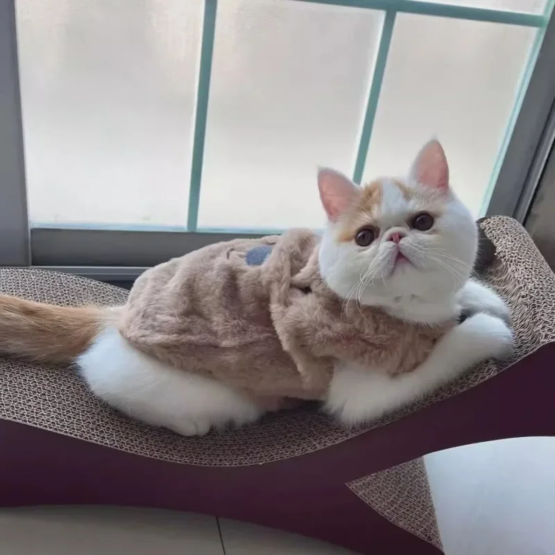 Chaqueta de lana con estampado bonito para Gato, abrigo cálido para perro y gato, monos, ropa para cachorro y gato, ropa de dos patas, ropa para perros pequeños, invierno - imagen 3