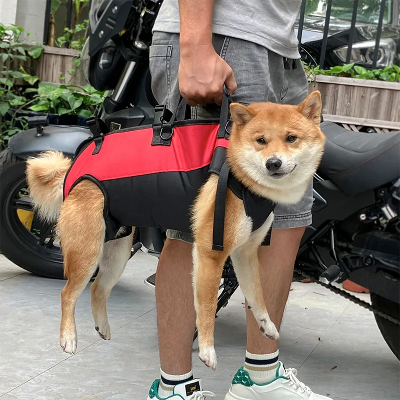 Mochila para perros para ciclismo al aire libre, transpirable, cómoda, para senderismo, ciclismo, con soporte para el vientre, correas ajustables seguras - imagen 3