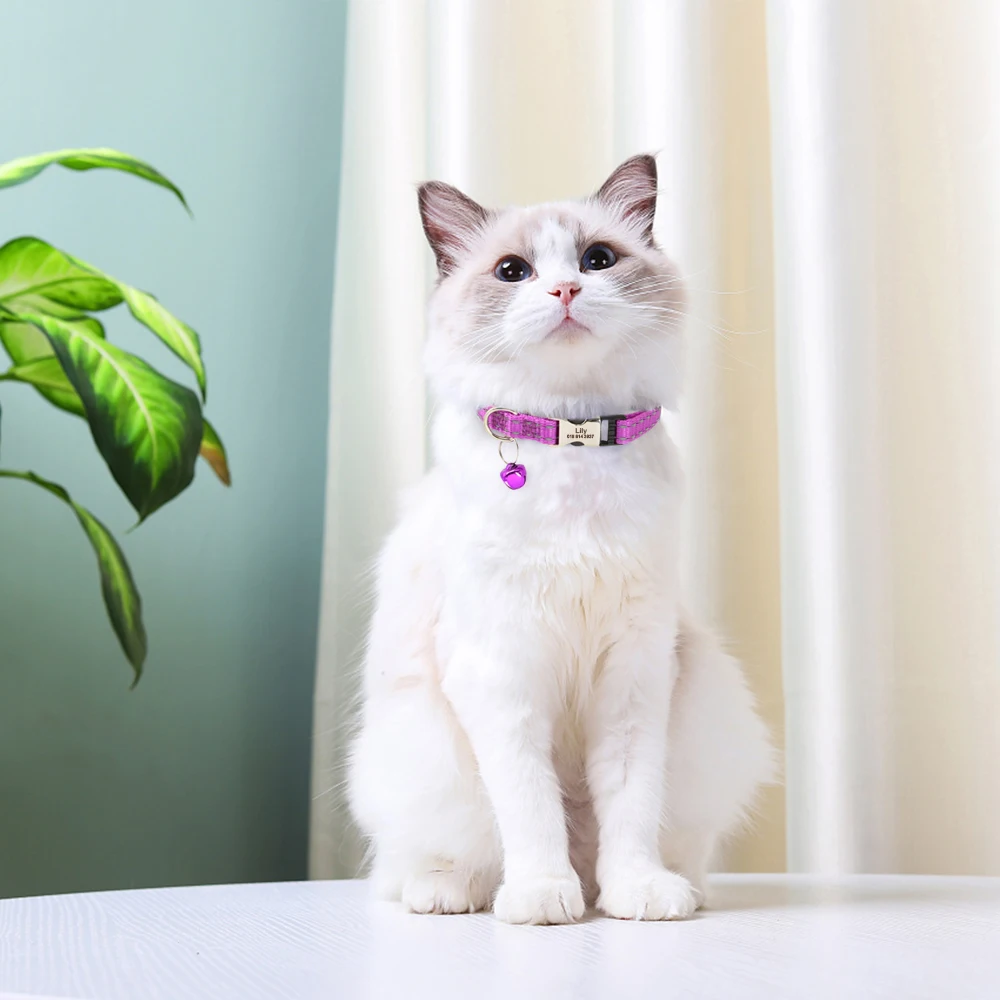 Collar de identificación de gato personalizado, collares con nombre antipérdida para cachorros y gatos, collares con etiqueta de nombre de identificación de mascota personalizada para perros pequeños, accesorios de campana para gatos - imagen 5