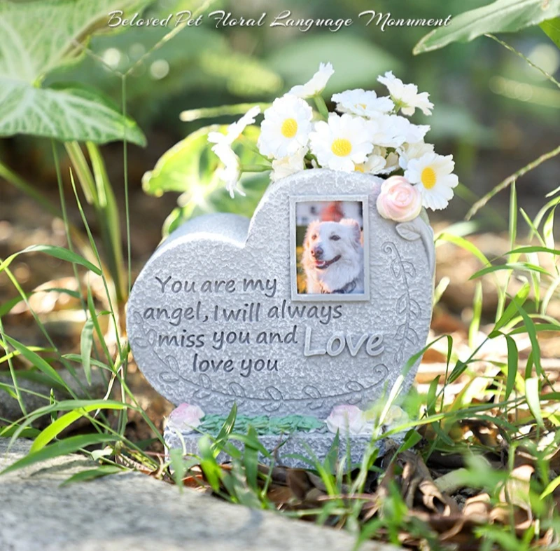 hmqViviiyNSAyin8WueWtyohhS6FhcgM/eoW