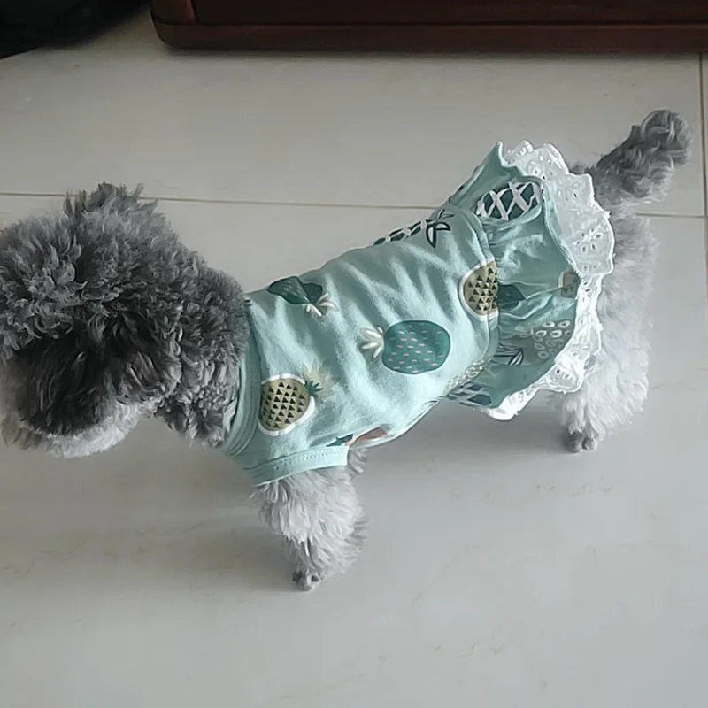 Vestido de verano para perros extendido sobre una superficie