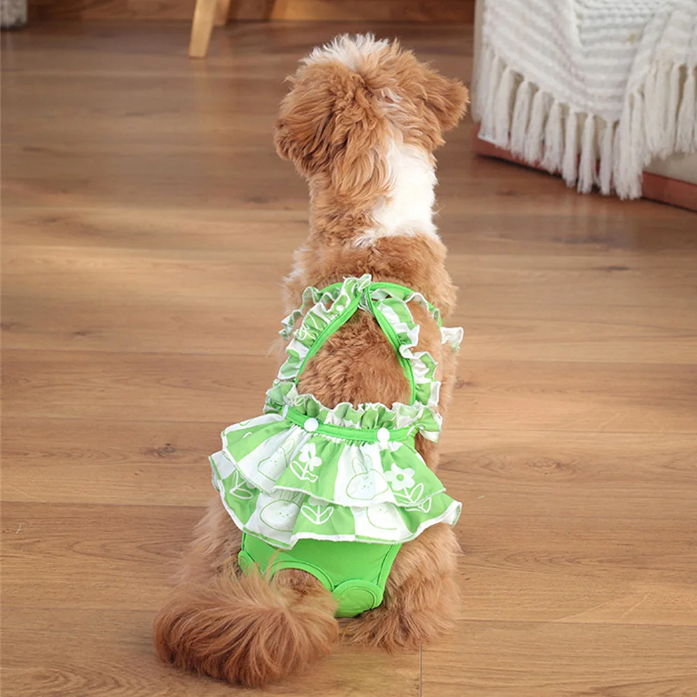 Lindos pantalones fisiológicos para perros y mujeres con encaje, bragas lavables para mascotas, pantalones cortos de seguridad para perros Schnauzer, caniche y gatos, productos para mascotas - imagen 5