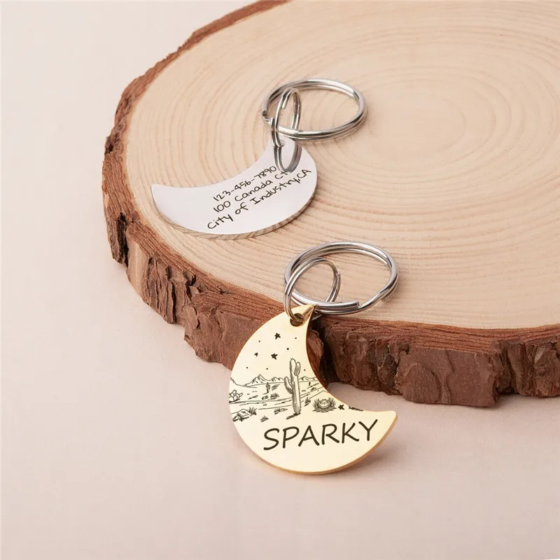 Etiquetas divertidas personalizadas para perros, cactus del desierto grabado para accesorios de Collar, placa con nombre de acero inoxidable para cachorros, pastor Chihuahua - imagen 3