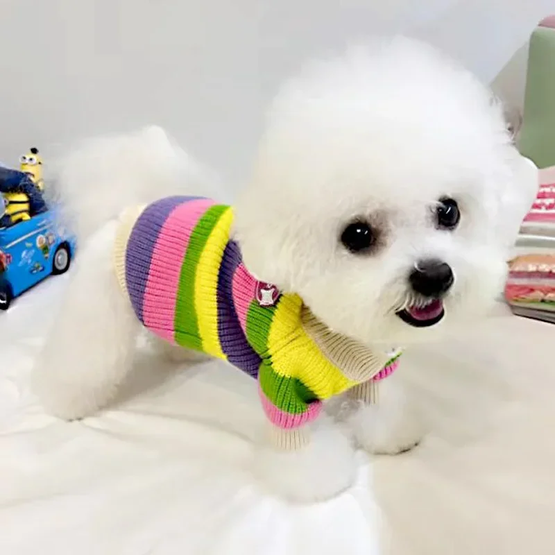 Suéter de arcoíris a rayas para perros, ropa de otoño, osos Yorkshire maltés pequeños, ropa para cachorros, suéter para Gato, ropa para perros pequeños - imagen 3
