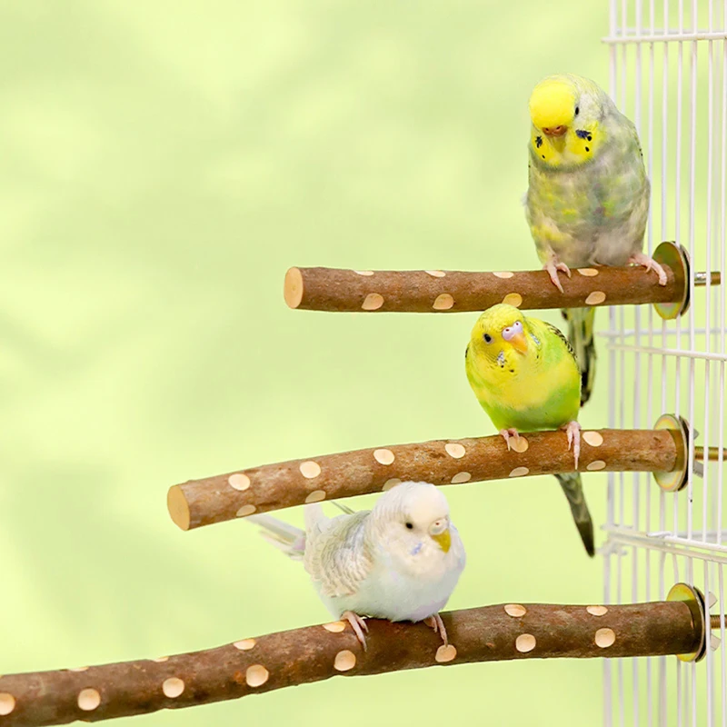 Barra de molienda de pico de garra de pájaro de madera, palo de pie, suministros para pájaros, accesorios para jaula, estación de loros, soporte de molienda, juguete, 15/20/30cm - imagen 2