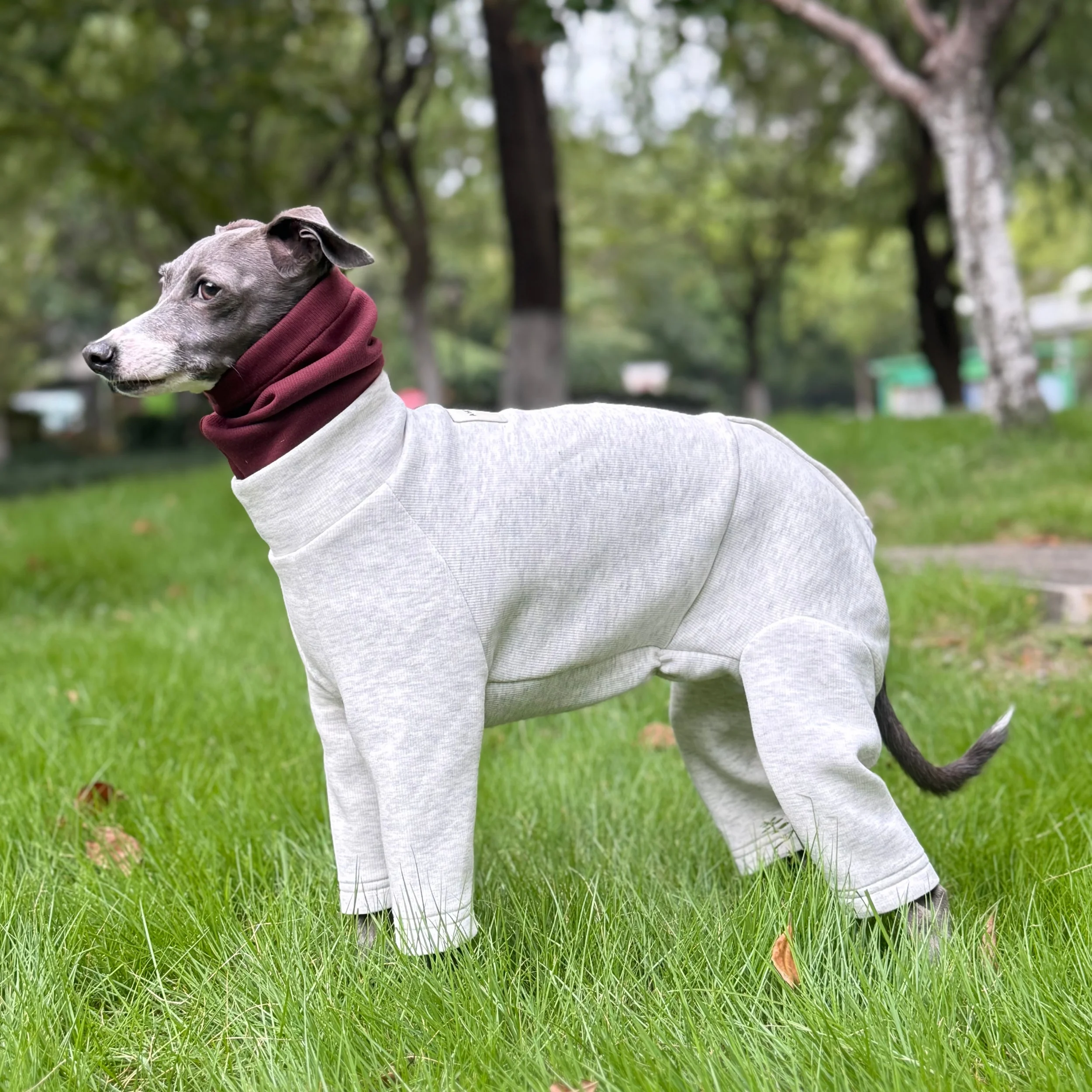 Sudadera antiestática de algodón de aire suave para invierno, solo para perros, mono cálido y suave de 4 patas con cuello alto para galgo italiano - imagen 2