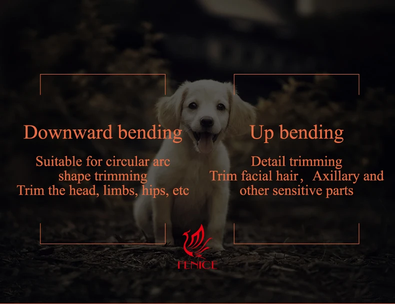 Mango ergonómico de las tijeras de aseo