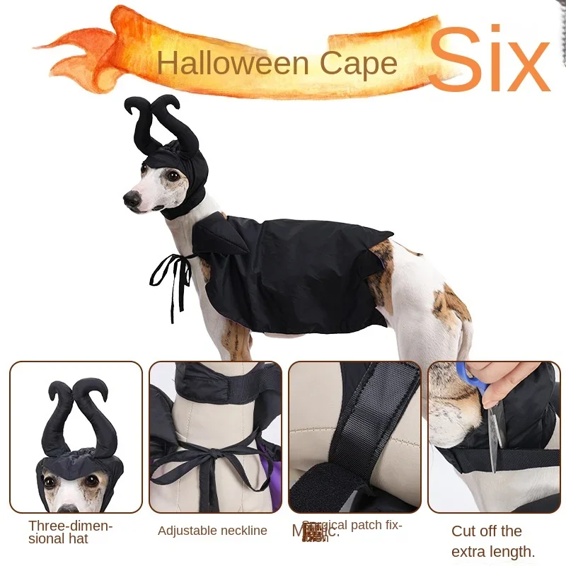 Capa de Halloween con sombrero para perro, manto femenino para dormir, sombrero para gato, suministros de ropa para mascotas, decoración para perros - imagen 3