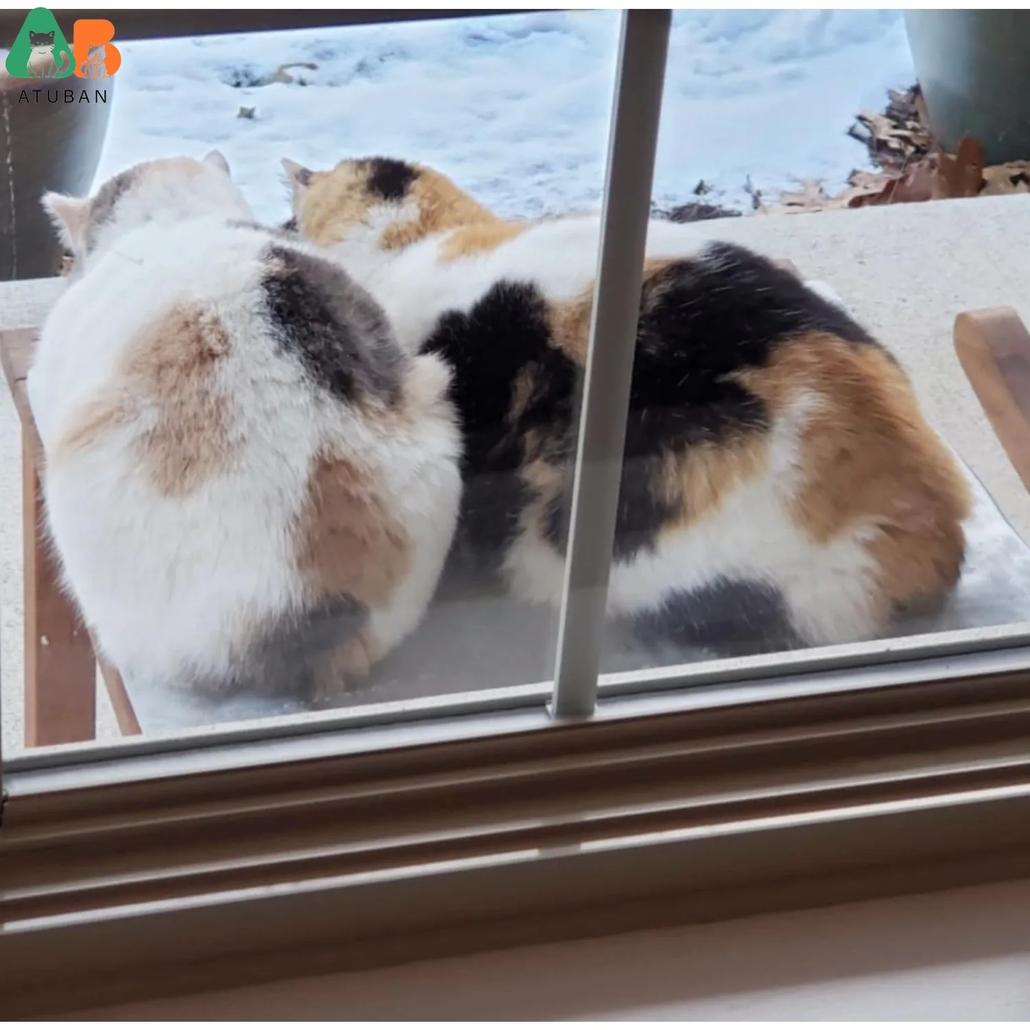 ATUBAN Almohadilla calefactora para gatos para interiores y exteriores, 11,42 x 15,75 pulgadas, estera calefactora para mascotas para láminas calefactoras de perrera, temperatura ajustable - imagen 3