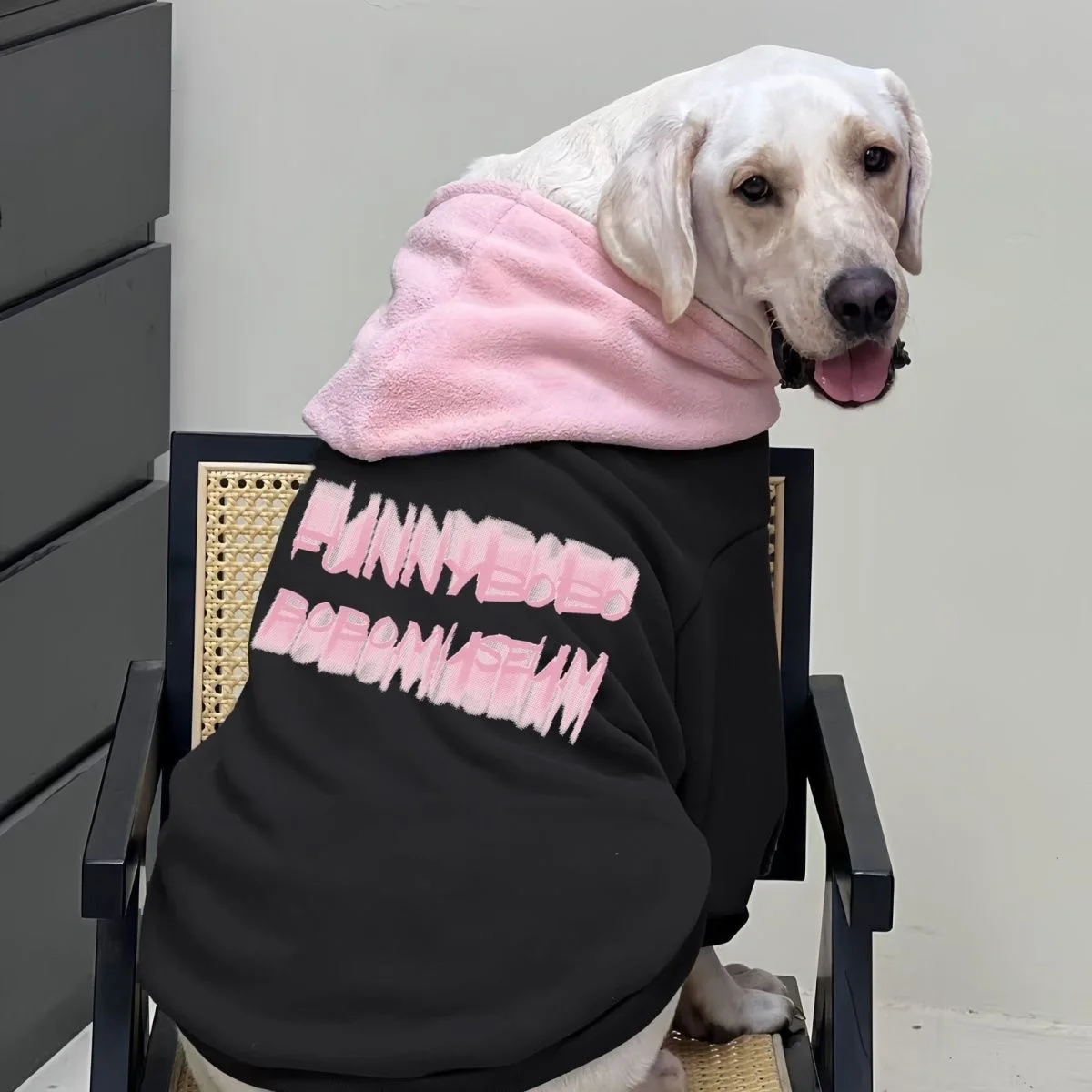 Sudaderas con capucha para perros a la moda, ropa de otoño e invierno para perros medianos y grandes, jersey con capucha, abrigo, sudadera para perros, ropa para mascotas al aire libre - imagen 3