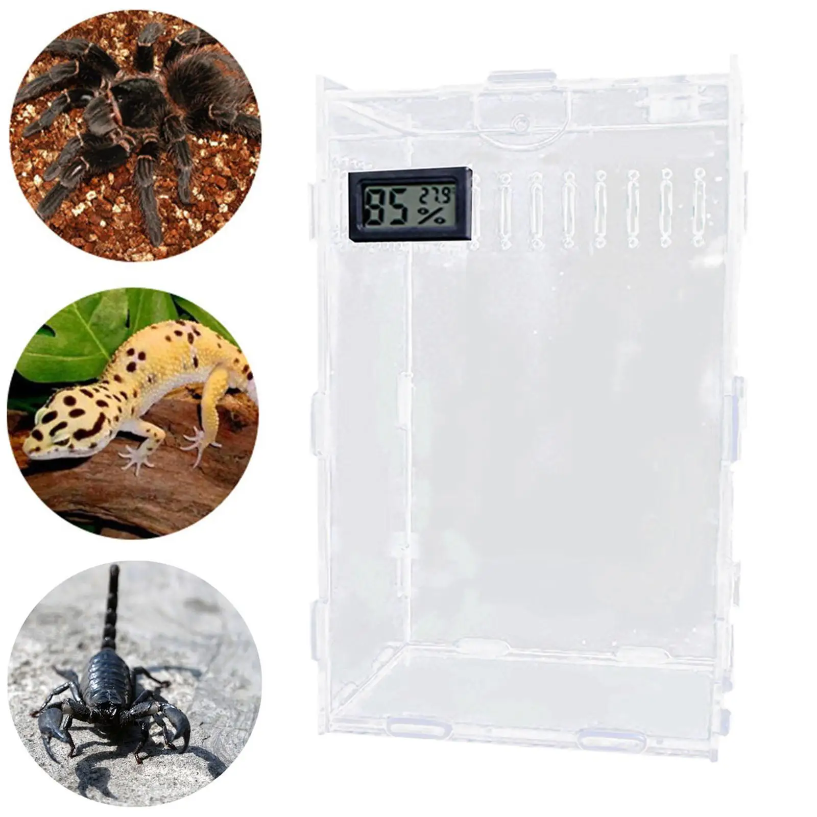 Acrylic Jumping Spider Enclosure Container Spider Tank Reptile Terrarium Tarantula Cage for Arboreal Animal Hermit Crab Beetle Acrylic Jumping Spider Enclosure Container Spider Tank Reptile Terrarium Tarantula Cage for Arboreal Animal Hermit Crab Beetle