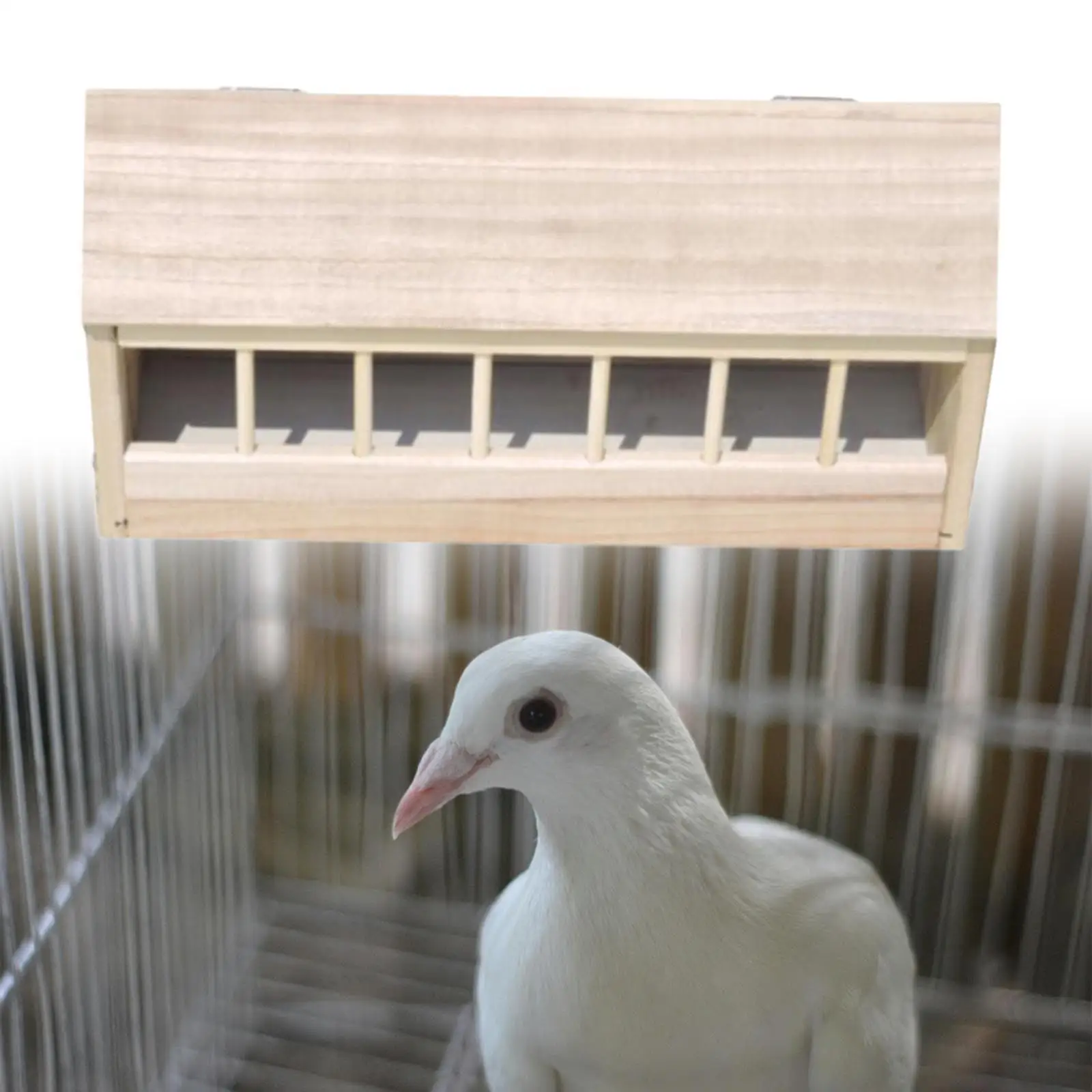 40cm Wooden Pigeon Feeder Trough Food Dispenser House Design Pigeon Supplie Poultry Trough Dish Bird Feeder for Pigeon 40cm Wooden Pigeon Feeder Trough Food Dispenser House Design Pigeon Supplie Poultry Trough Dish Bird Feeder for Pigeon