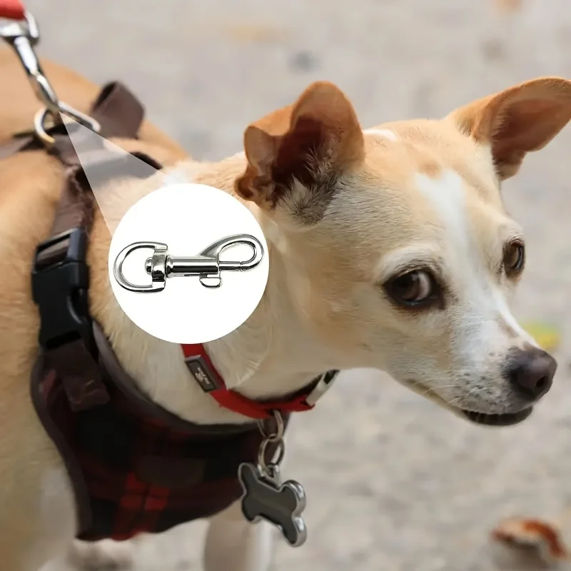 Conjunto de accesorios para perros con correa metálica resistente - imagen 4