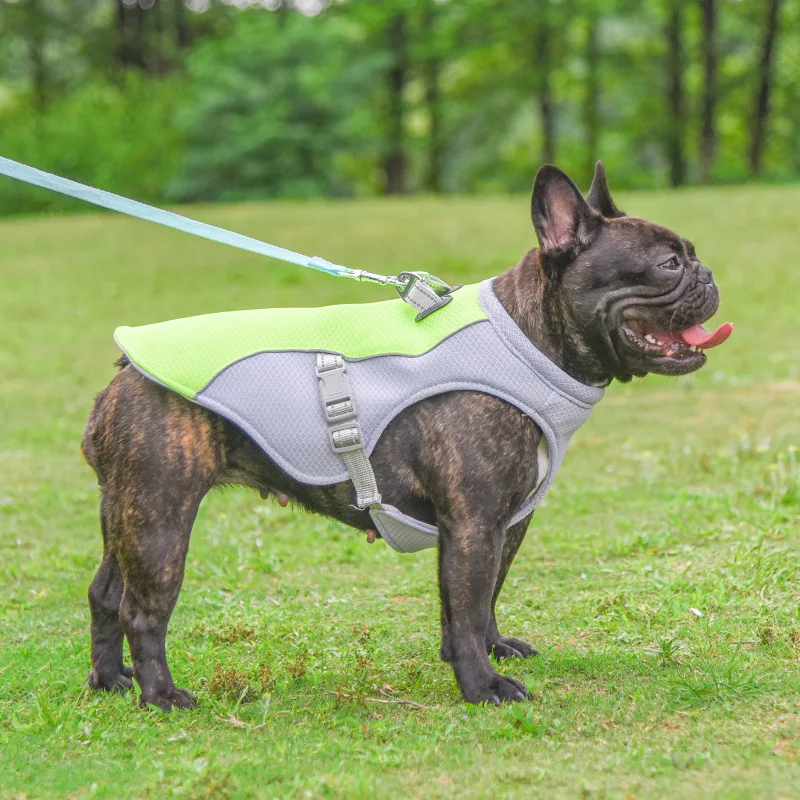 Chaleco de malla transpirable para perros pequeños, medianos y grandes, chaquetas frescas para mascotas al aire libre, arnés de verano - imagen 4