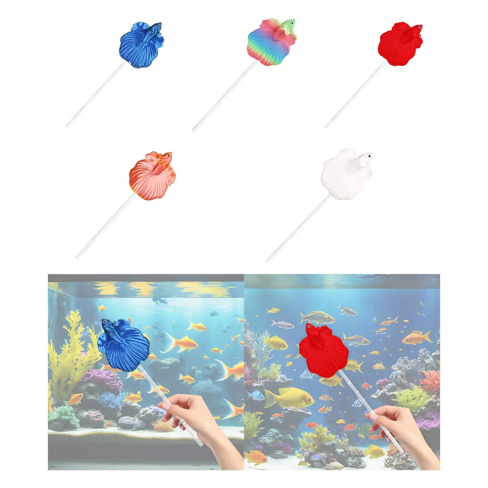 Betta Fish Training Wand,Fishtank Accessories,Sturdy,Portable,Interactive,Aquarium Fishtank Decoration Aquariums Wand Realistic Betta Fish Training Wand,Fishtank Accessories,Sturdy,Portable,Interactive,Aquarium Fishtank Decoration Aquariums Wand Realistic