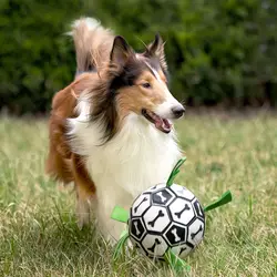 Pelota interactiva hinchable para perros medianos y pequeños