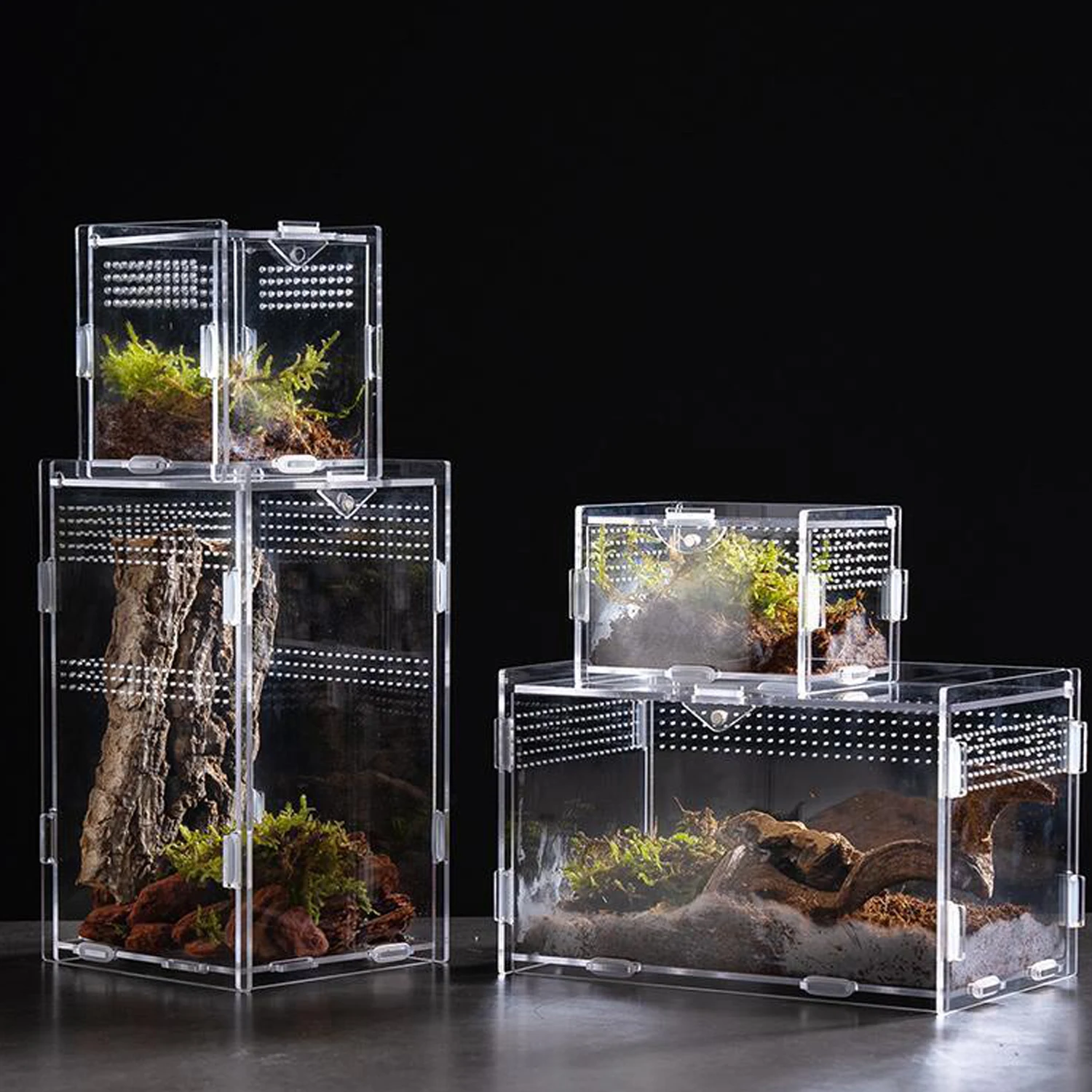 Caja de cría antiescape para reptiles, tanque anfibio transpirable transparente acrílico para tortuga, araña, lagarto, serpiente, Rana, jaula para reptiles - imagen 3