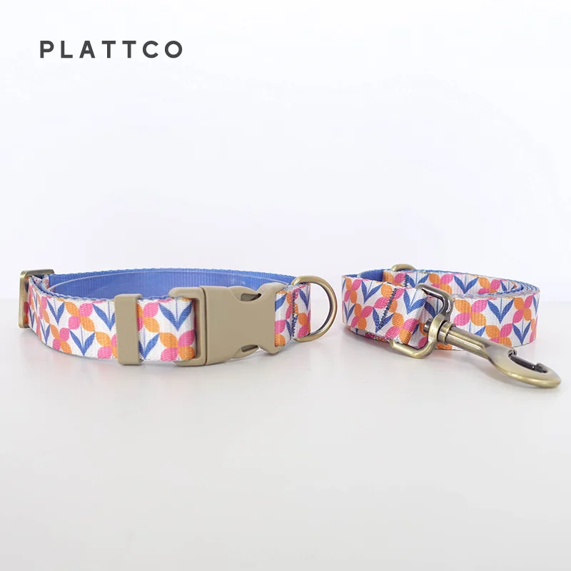 Dog Collar Leash Set