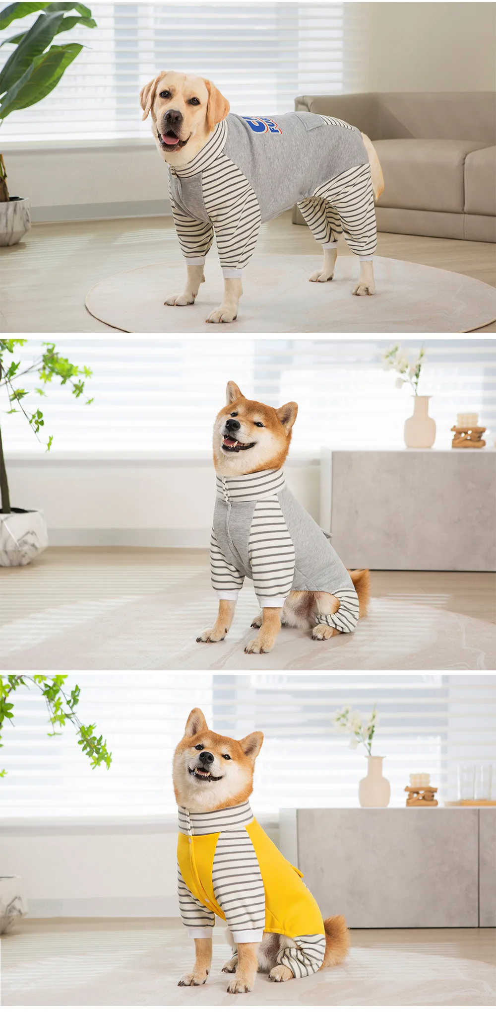 Ropa Perros - Diferentes usos