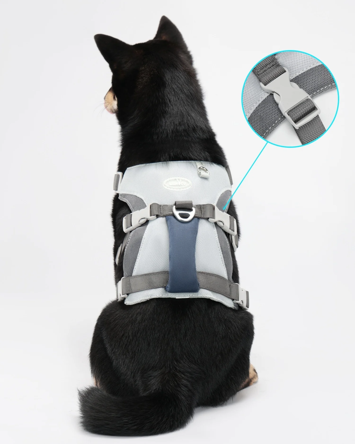 Arnés para perros con juego de correa, chaleco para perros fresco y transpirable con mango acolchado, arnés para caminar sin tirar para perros con correa azul - imagen 3