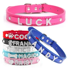 Collar identificativo con nombre para perro y gato – Dije cristal