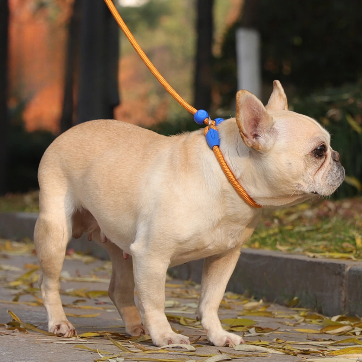 Cuerda redonda de entrenamiento para perros y mascotas, Collar de cadena P de nailon ligero, ajustable para perros pequeños y medianos, correa para caminar, suministros para mascotas, 150cm - imagen 5