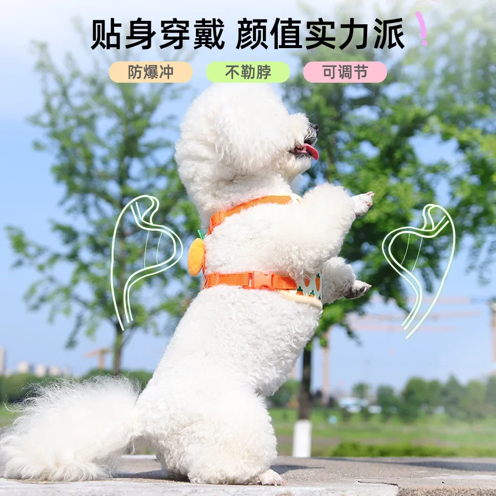 Correa extensible para perros – Estampado vibrante con cierre seguro - imagen 2