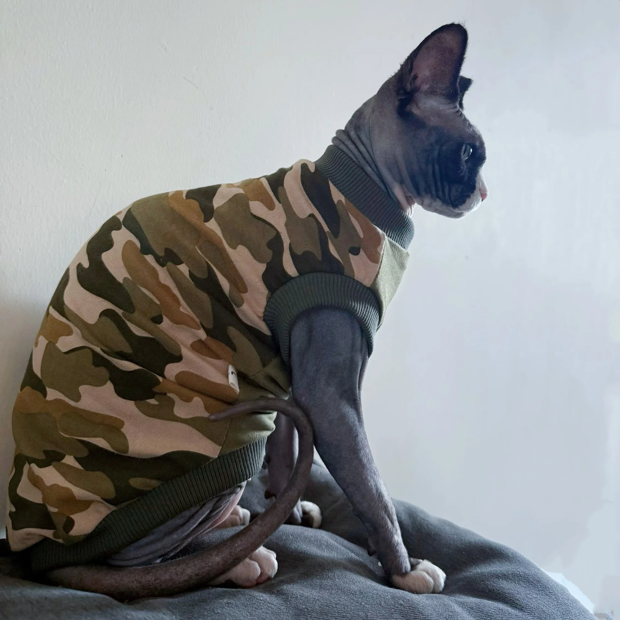 Chaleco verde militar para gatos sin pelo – Algodón suave Sphynx Devon Rex - imagen 5