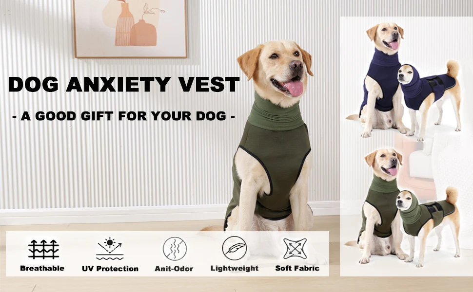 This suit for dogs is a professional alternative to a cone, collar and full body bandage.
