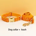 collar and leash set