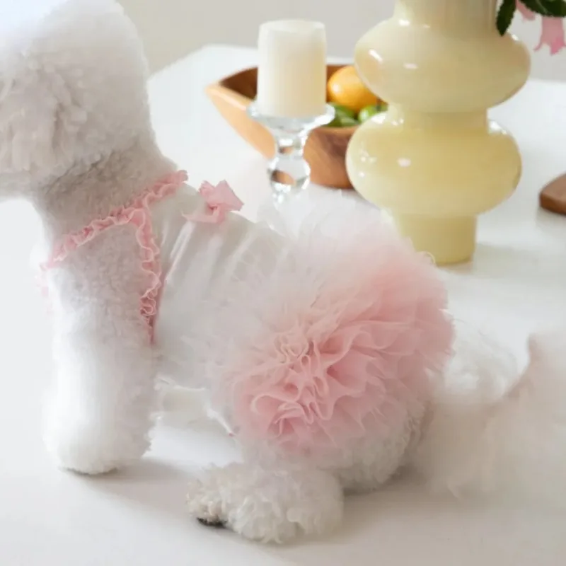 INS Pet moda verano falda de malla degradada mascota gato y perro vestido esponjoso falda de peluche princesa mascota protector solar ropa transpirable - imagen 4