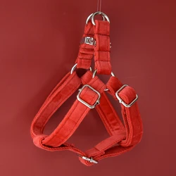 Placa de identificación grabada para perros y gatos – Personalizable