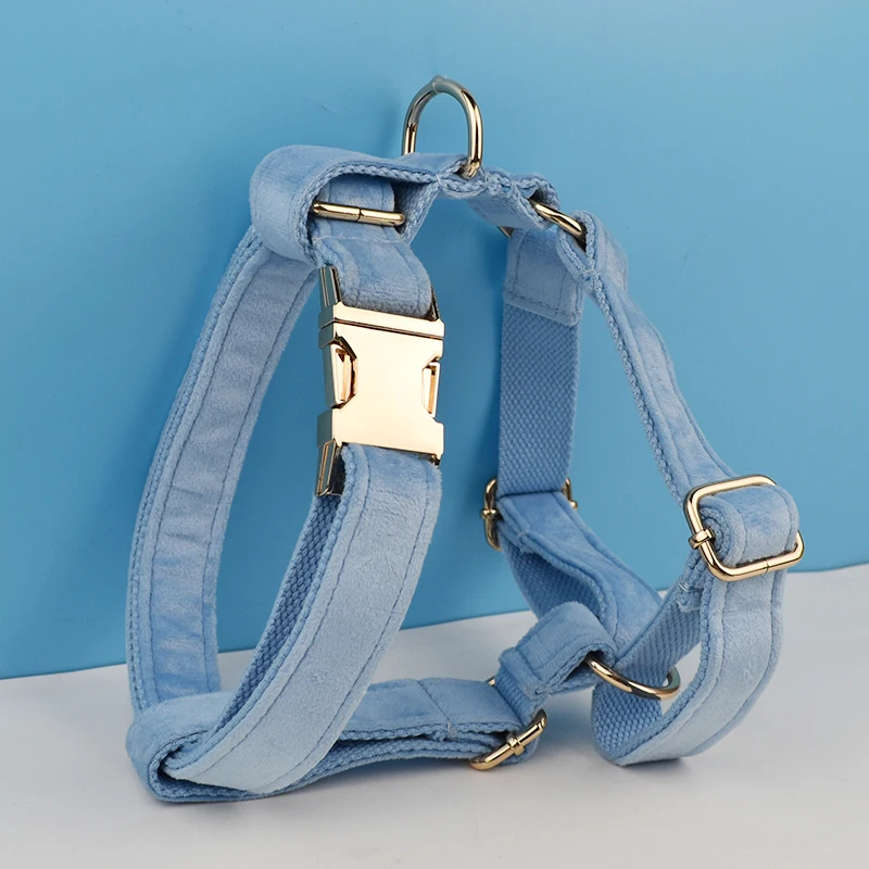 Juego de Collar y correa de terciopelo azul para perros pequeños, medianos y grandes, placa de identificación grabada personalizada, suministros para mascotas, correa para perros Velvet15 - imagen 2