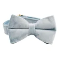 Bow Collar