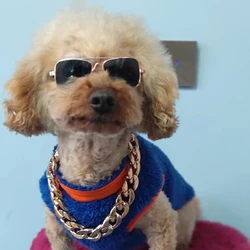 Gafas de sol para perros y gatos pequeños – Accesorio moderno