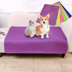Almohadilla entrenamiento perros – Absorbsente, lavable e impermeable